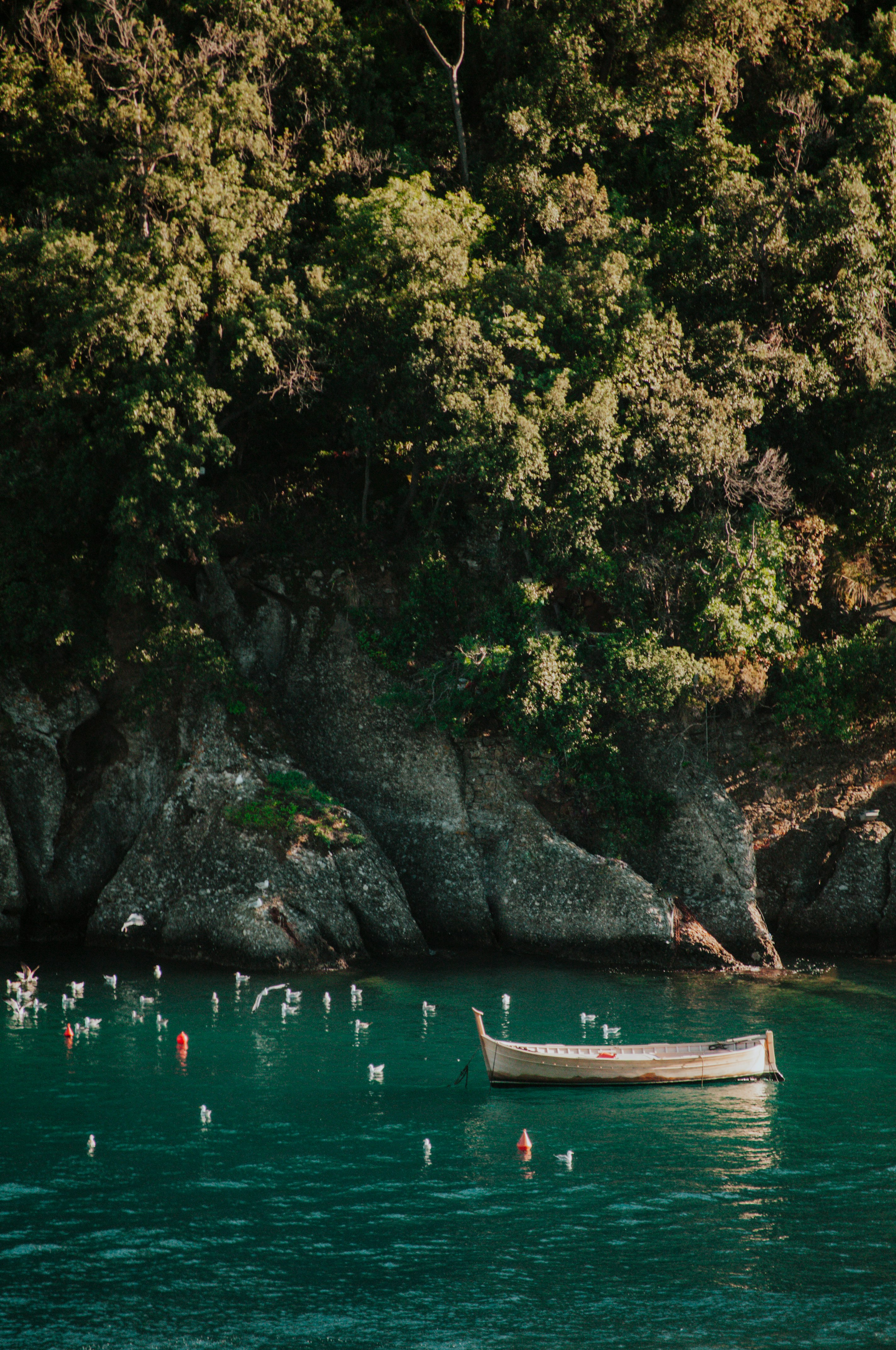 brown boat on body of water near green trees during daytime